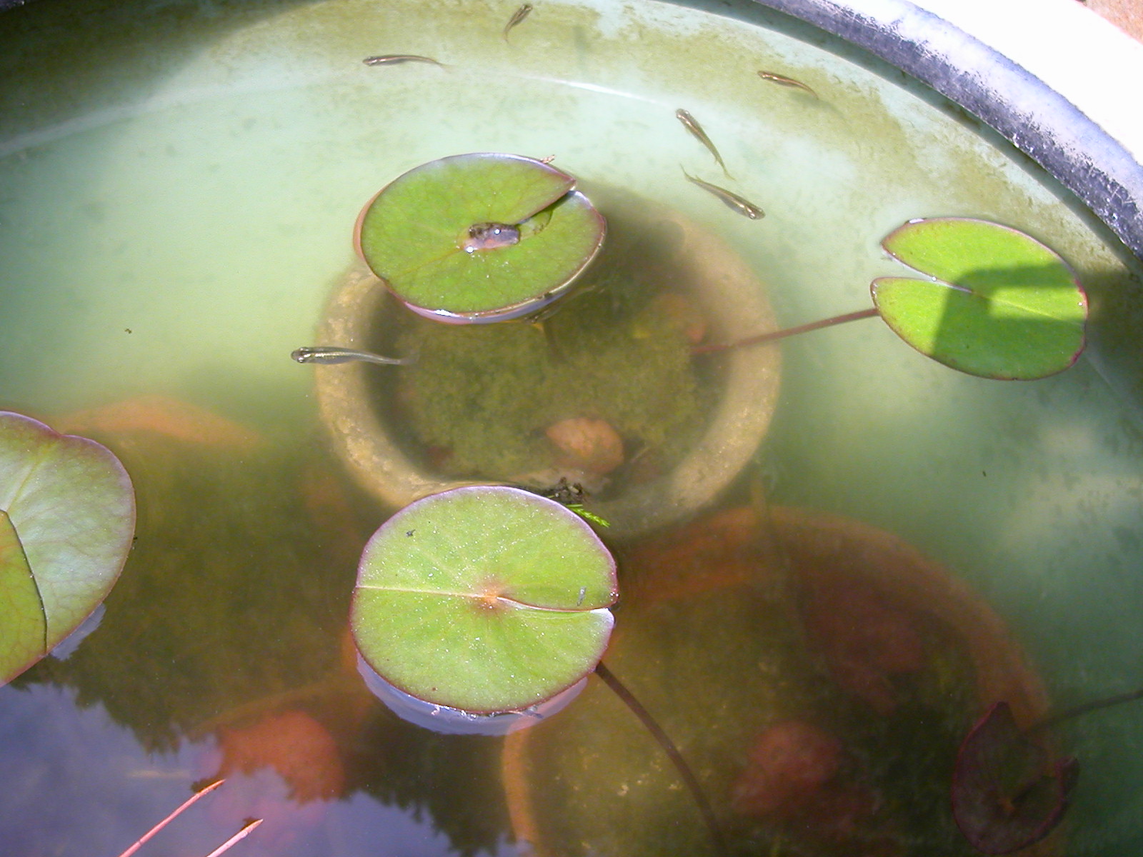 iso14001,��ISO�����̔�